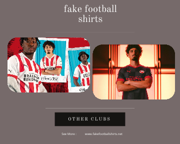 fake PSV football shirts 23-24